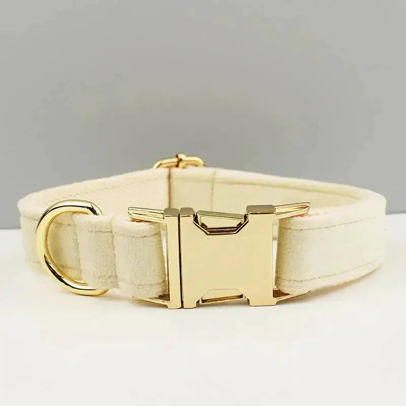Le collier à boucle dorée sur un collier en velours personnalisé durable réglable pour les animaux de compagnie