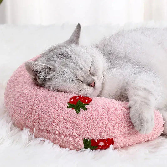 Chat dormant sur un oreiller rose avec une fraise, Cozy Bed for Cats, coussin apaisant