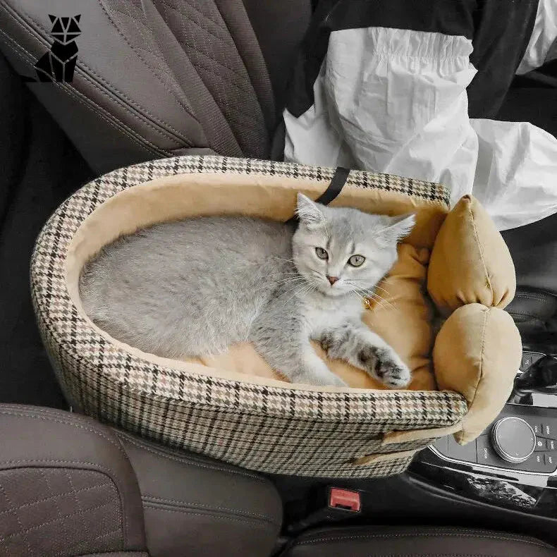 Le chat profite du confort ultime sur un siège auto conçu pour les chiens